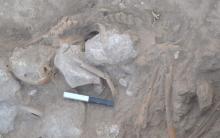 Excavaciones de Gezer 2017