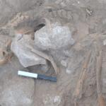 Esquelets cremats a Gezer. Excavació 2017